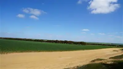 Main view of Homely rural property listing, 2641 Starcevich Chapman Road, Muntadgin WA 6420