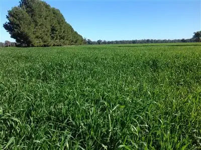 Main view of Homely rural property listing, 194 Geodetic Road, Bundalong VIC 3730