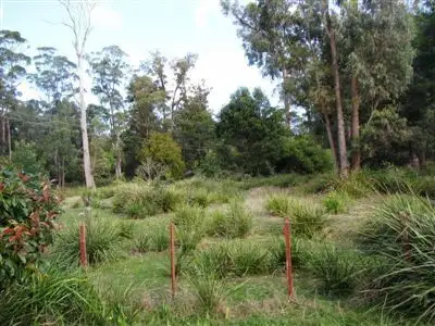 Second view of Homely land listing, 671A Deviot Road, Deviot TAS 7275