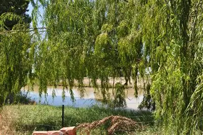 Second view of Homely rural property listing, 129 Beglehole Rd, Murrabit VIC 3579