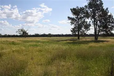 Third view of Homely rural property listing, 2554 East Coonamble Rd, Curban NSW 2827