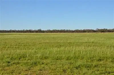 Main view of Homely rural property listing, * Darling Downs, Cobar NSW 2835