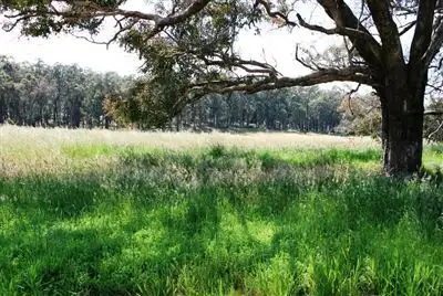 Seventh view of Homely land listing, 463 Greenbushes - Boyup Brook Road, Greenbushes WA 6254