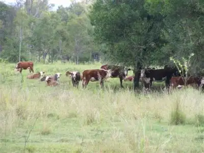Main view of Homely rural property listing, Hannahs/135 Clarks Road, Casino NSW 2470