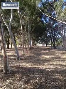 Fifth view of Homely land listing, 237 Ayrshire Loop, Lower Chittering WA 6084