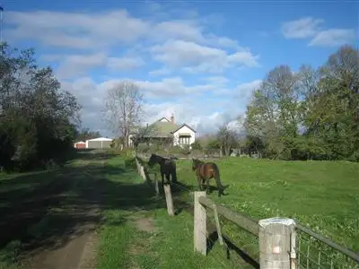 Main view of Homely rural property listing, 474 Maxfields Road, Flynns Creek VIC 3844