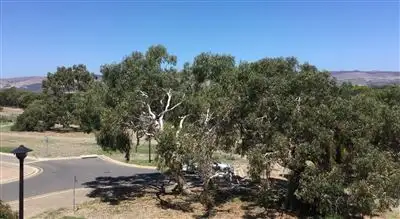 Sixth view of Homely house listing, 4 Lichen Walk, Aldinga Beach SA 5173