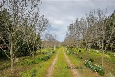 24 Herrmanns Road, Mount Torrens SA 5244