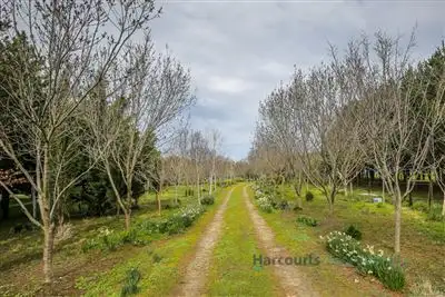 Main view of Homely land listing, 24 Herrmanns Road, Mount Torrens SA 5244