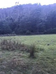 Main view of Homely rural property listing, . Alberton Road, Ringarooma TAS 7263