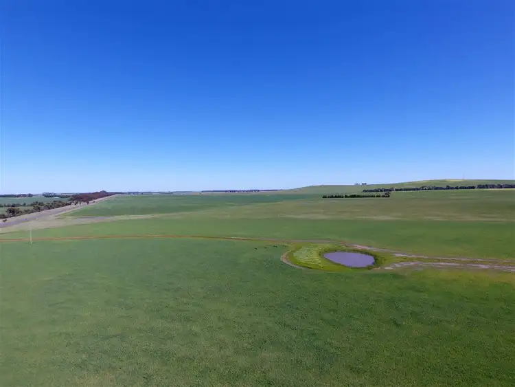 Sixth view of Homely rural property listing, 1435 Lismore-Pitfield Road, Wallinduc VIC 3351