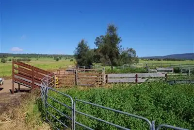 Fourth view of Homely rural property listing, 454 Black Mountain Creek Road, Narrabri NSW 2390