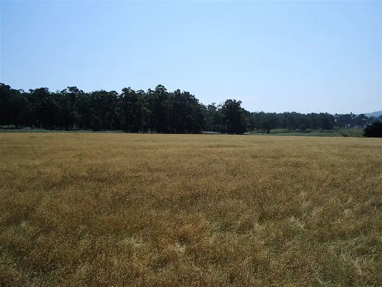 Third view of Homely rural property listing, 665 Nicholson Sarsfield Road, Bairnsdale VIC 3875