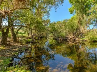 Second view of Homely rural property listing, 20 Old Greendale Road, Glastonbury QLD 4570