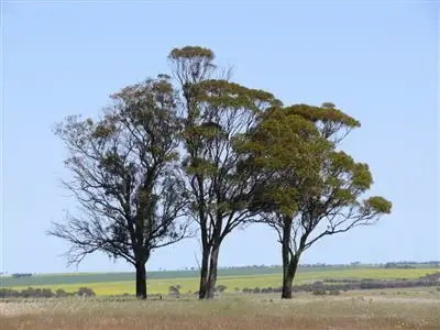 Second view of Homely land listing, Lot 617 North Road, Dowerin WA 6461