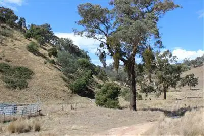 Seventh view of Homely rural property listing, 451 Stoney Creek Road, Fawcett VIC 3714