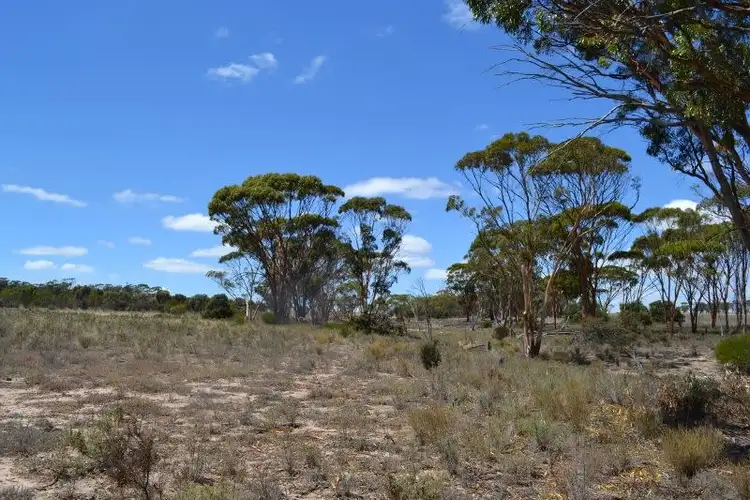 Seventh view of Homely land listing, . Hillam Road, Cunderdin WA 6407