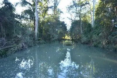 Seventh view of Homely rural property listing, 41 Fishers Ridge & 133 Letterbox Road, Bellangry NSW 2446