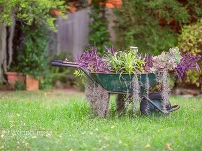 89 Woodbury Street, North Rocks NSW 2151