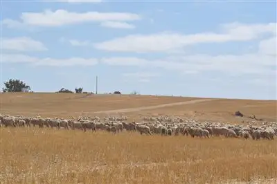 Third view of Homely rural property listing, . Wandarin, Boyacup Road, Frankland WA 6396