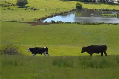 Main view of Homely land listing, 00 Trevor Street, Ulverstone TAS 7315