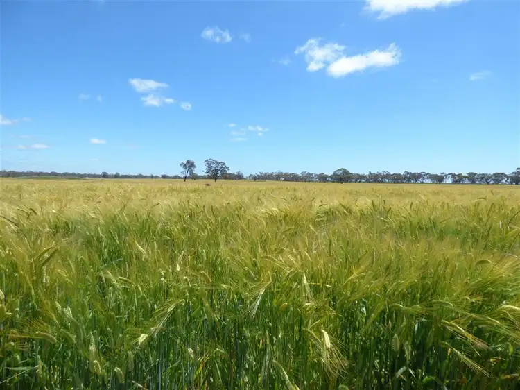 Main view of Homely rural property listing, 2481 Natimuk- Frances Road, Gymbowen VIC 3401