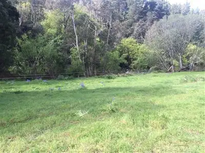 Fourth view of Homely land listing, 5-7 Main Street, Derby TAS 7264