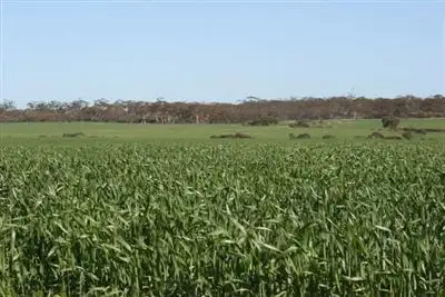 Sixth view of Homely rural property listing, Address available on request