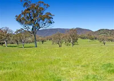 Second view of Homely rural property listing, 1097 Warrah Creek Road, Willow Tree NSW 2339