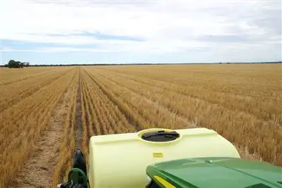 Seventh view of Homely rural property listing, . Gurley Settlers Road, Moree NSW 2400