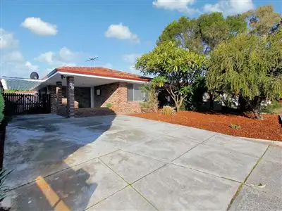 Main view of Homely unit listing, 39 Dalston Crescent, Kardinya WA 6163