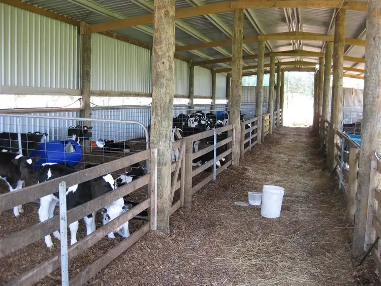 Sixth view of Homely rural property listing, 325 Rennison Road, Togari TAS 7330