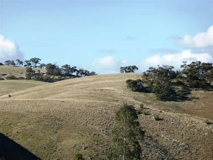 Fifth view of Homely rural property listing, 40 Sandstone Road, Spalding SA 5454