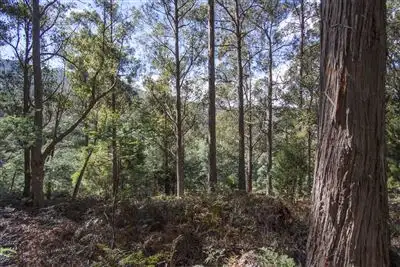 Fifth view of Homely land listing, Lot 2 Bakers Creek Trail, Lucaston TAS 7109