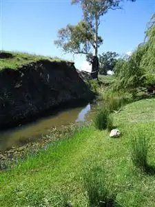 Second view of Homely rural property listing, 874 Bara Rd, Mudgee NSW 2850