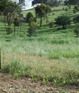 Seventh view of Homely house listing, 6 Saleyards Street, Yea VIC 3717