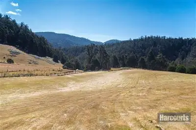 Second view of Homely land listing, Lot 1 Arthurs Road, Pelverata TAS 7150