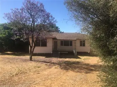 Main view of Homely house listing, 36 Throssel Road, Merredin WA 6415