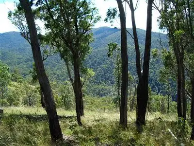 Fourth view of Homely rural property listing, 97 Lower Tablelelands Road, Benambra VIC 3900
