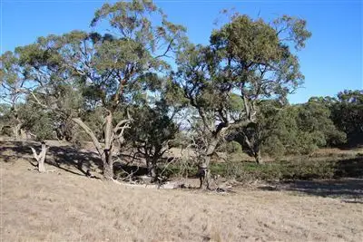 Third view of Homely rural property listing, . Ballarat - Carngham Road, Hillcrest VIC 3351