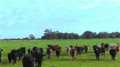 Fourth view of Homely rural property listing, Lot 800 South West Hwy, North Dandalup WA 6207