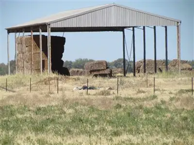 Sixth view of Homely rural property listing, 58 Manna Burcher Road, Forbes NSW 2871