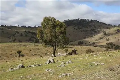 Fifth view of Homely rural property listing, 530 Hill End Rd Hargraves, Mudgee NSW 2850