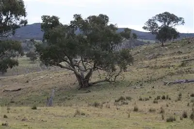 Sixth view of Homely rural property listing, L107 Roberts Rd, Mudgee NSW 2850