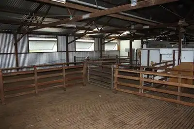 Third view of Homely rural property listing, 530 Hill End Rd Hargraves, Mudgee NSW 2850