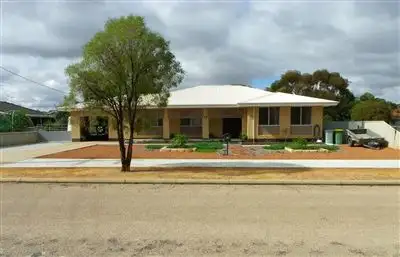 Main view of Homely house listing, 13 Haines Street, Merredin WA 6415