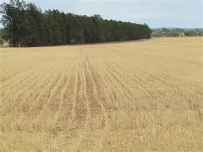 Main view of Homely rural property listing, Address available on request