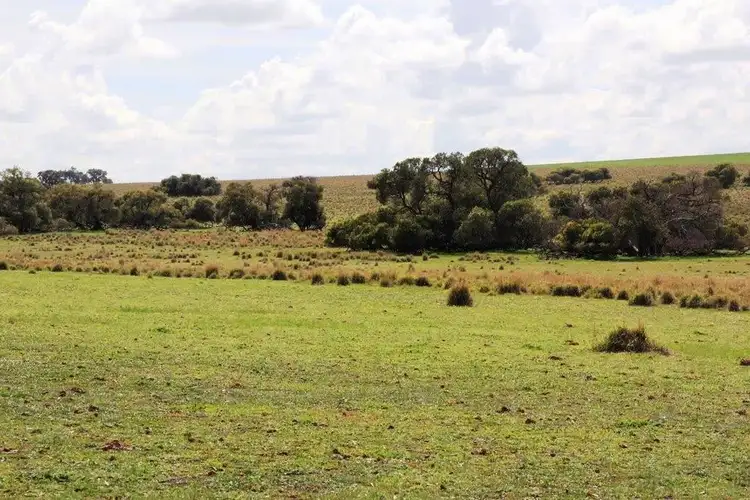 Fourth view of Homely rural property listing, 200 Bibby Road, Badgingarra WA 6521