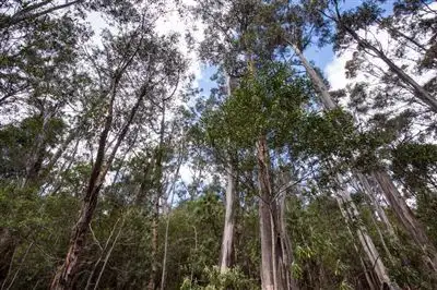 Second view of Homely land listing, - Constance Road, Cygnet TAS 7112