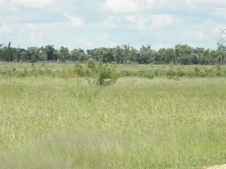 Fifth view of Homely rural property listing, " Lilyvale", Dingo QLD 4702